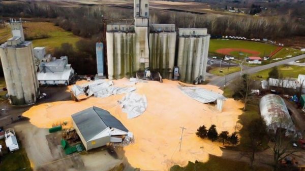 Collapsed green silos